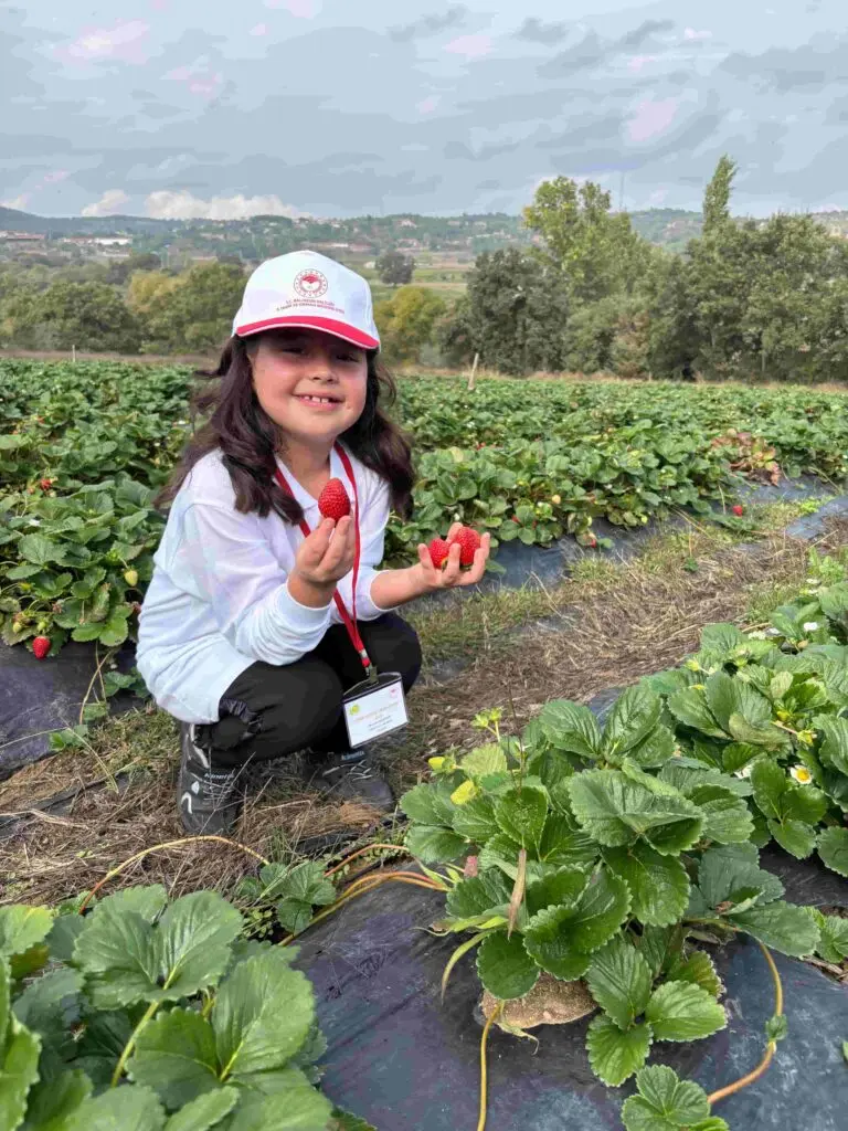Dünya Kooperatifçilik Günü etkinliğinde çilek tarlasında çocuk — Gökçeyazı Kooperatifi, Balıkesir