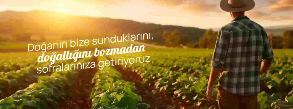 Gökçeyazı banner ikinci görsel