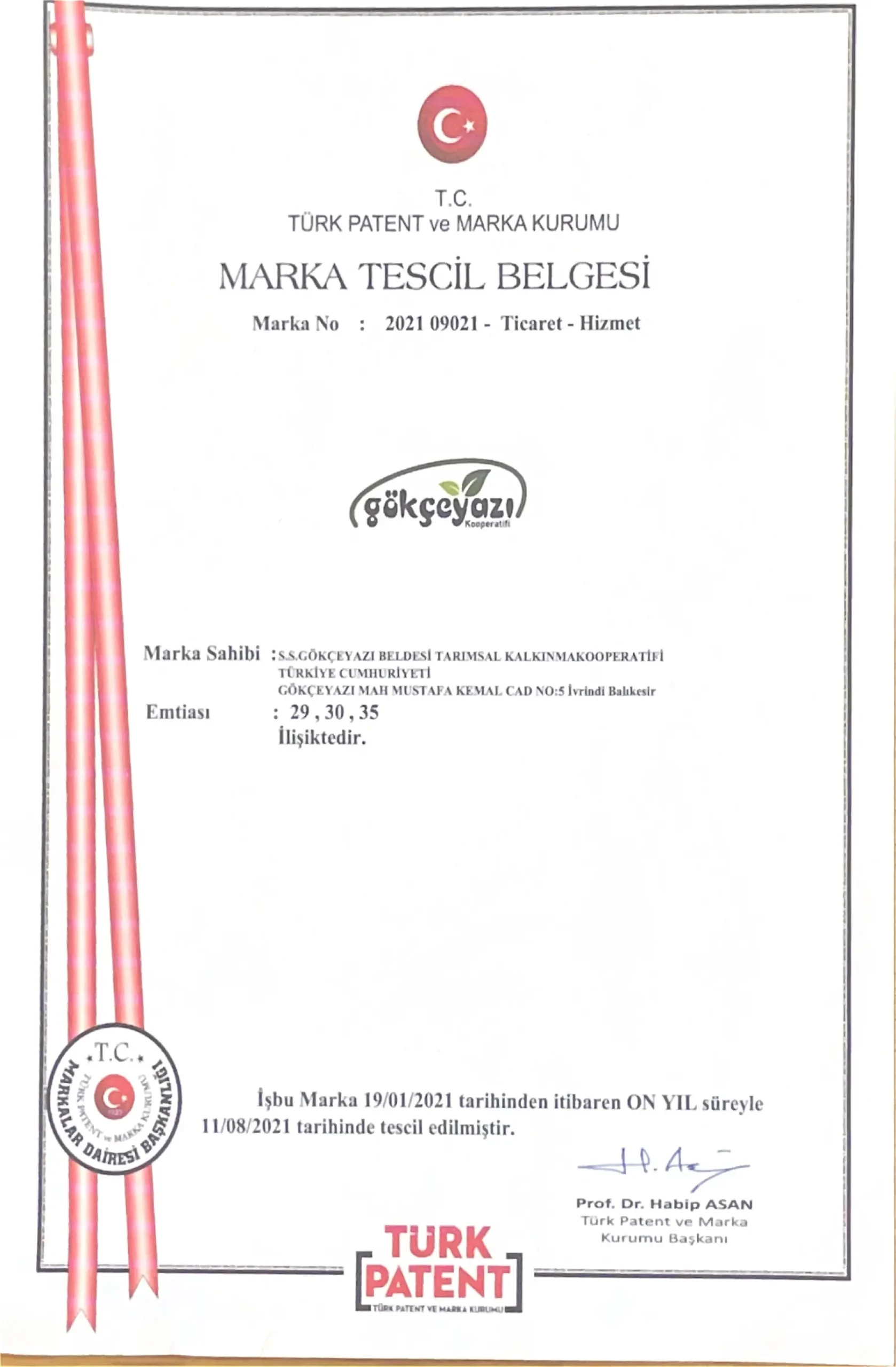 Gökçeyazı markası Türk Patent ve Marka Kurumu tescil belgesi, No: 2021 09021, Sınıf 29-30-35